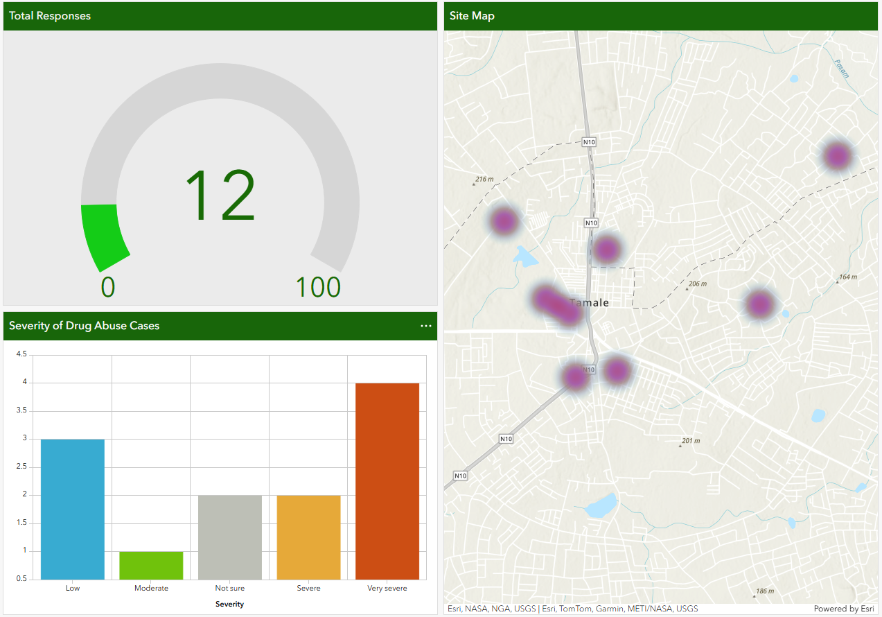 Screenshot of  web app